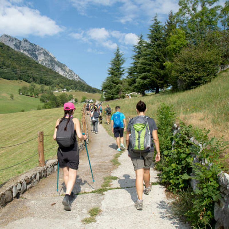 Mindful Walking
